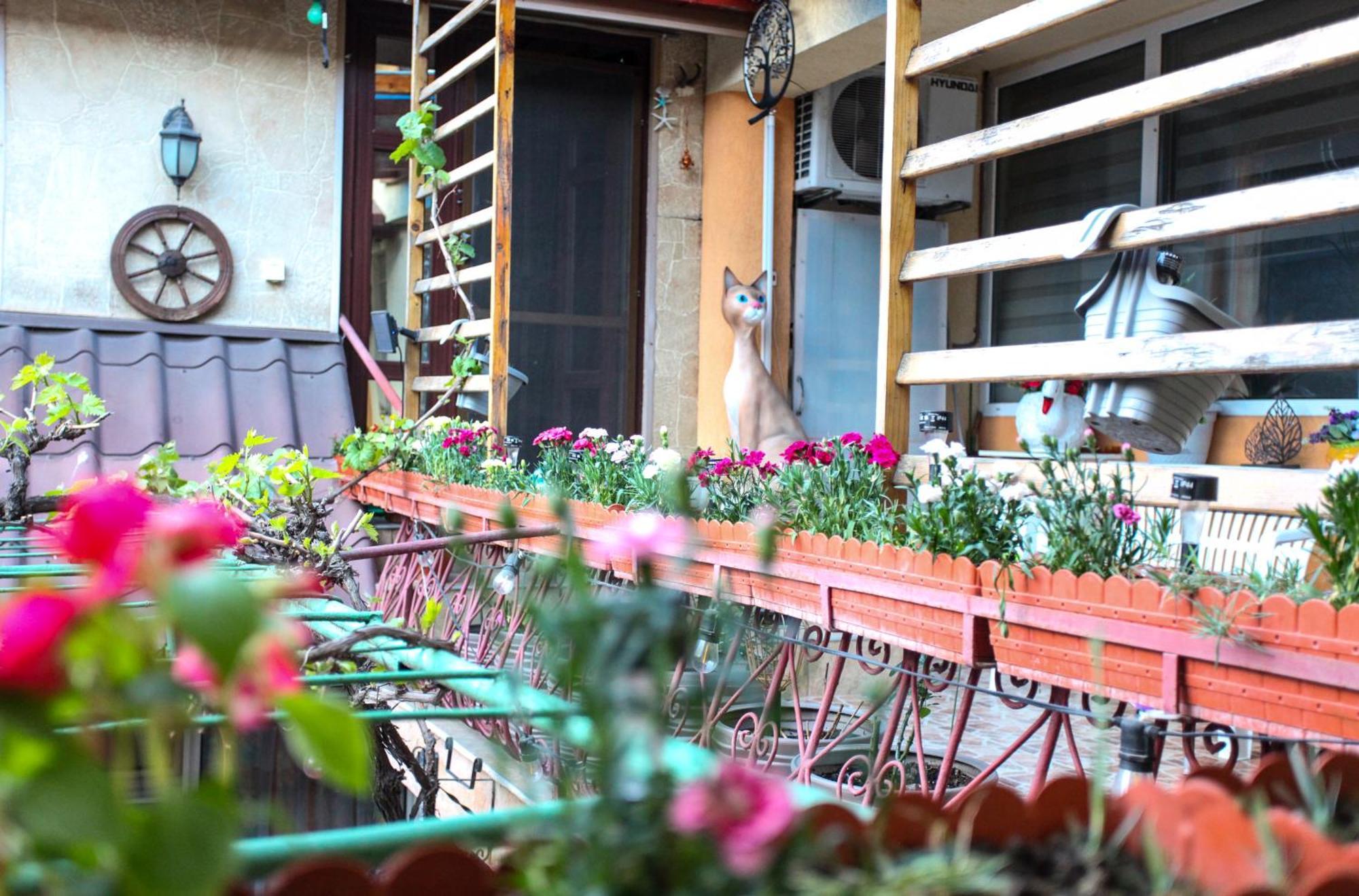 Studio Madi - Close To Beach คอนสตันซา ภายนอก รูปภาพ
